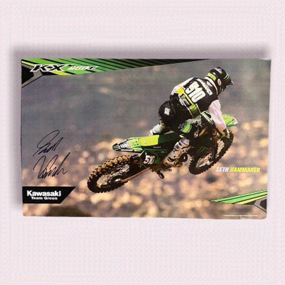𝅺SIGNED SETH HAMMAKER POSTER